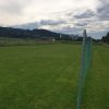 Sommernachtsfliegen