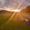 Sommernachtsfliegen