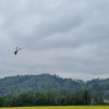 Saisoneröffnungsfliegen