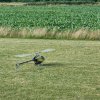 Sommernachtsfliegen
