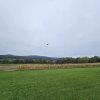 Saisonendfliegen
