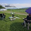 Sommernachtsfliegen