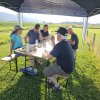 Sommernachtsfliegen