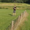 Sommernachtsfliegen