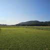 Sommernachtsfliegen