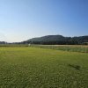 Sommernachtsfliegen