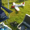 Sommernachtsfliegen