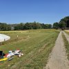 Sommernachtsfliegen