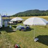 Sommernachtsfliegen