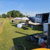 Sommernachtsfliegen